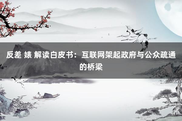 反差 婊 解读白皮书：互联网架起政府与公众疏通的桥梁