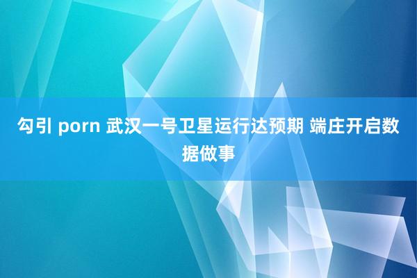 勾引 porn 武汉一号卫星运行达预期 端庄开启数据做事